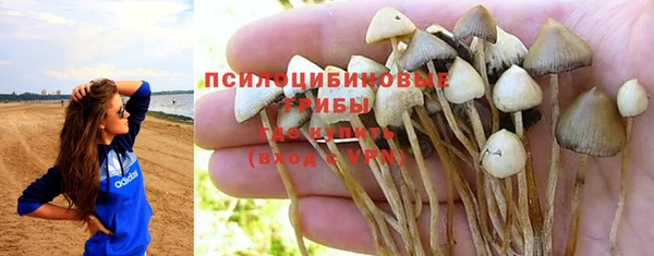 таблы Алексин