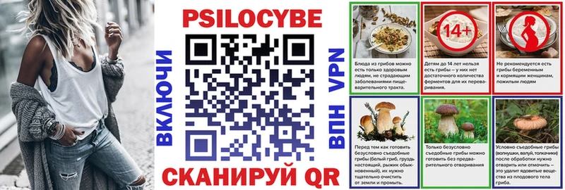 маркетплейс официальный сайт  Николаевск  Псилоцибиновые грибы Cubensis 